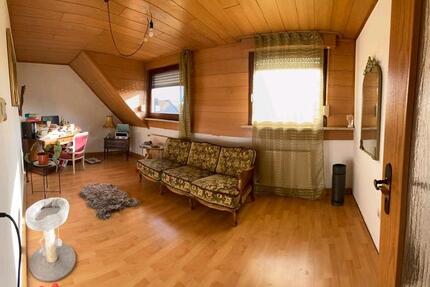 Wohnung in Plaidt zu vermieten 2ZKB zimmer