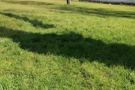 Grundstück zu verkaufen in Neustadt (Wied) 130.000 € 1200 m² zimmer