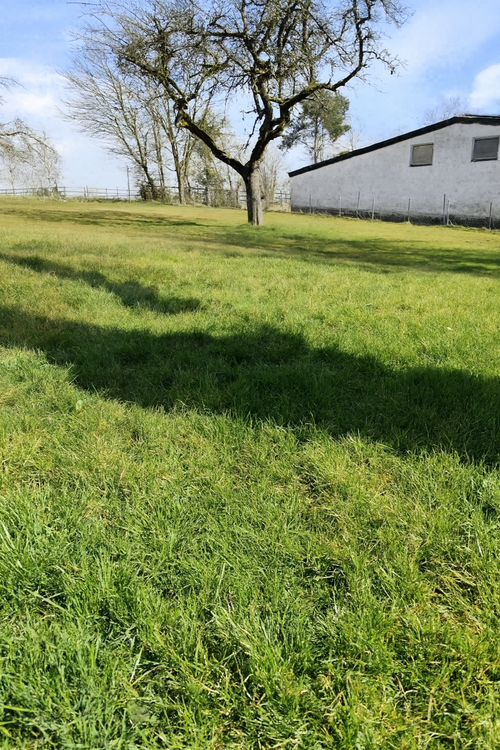 Grundstück zu verkaufen in Neustadt (Wied) 130.000 € 1200 m² zimmer