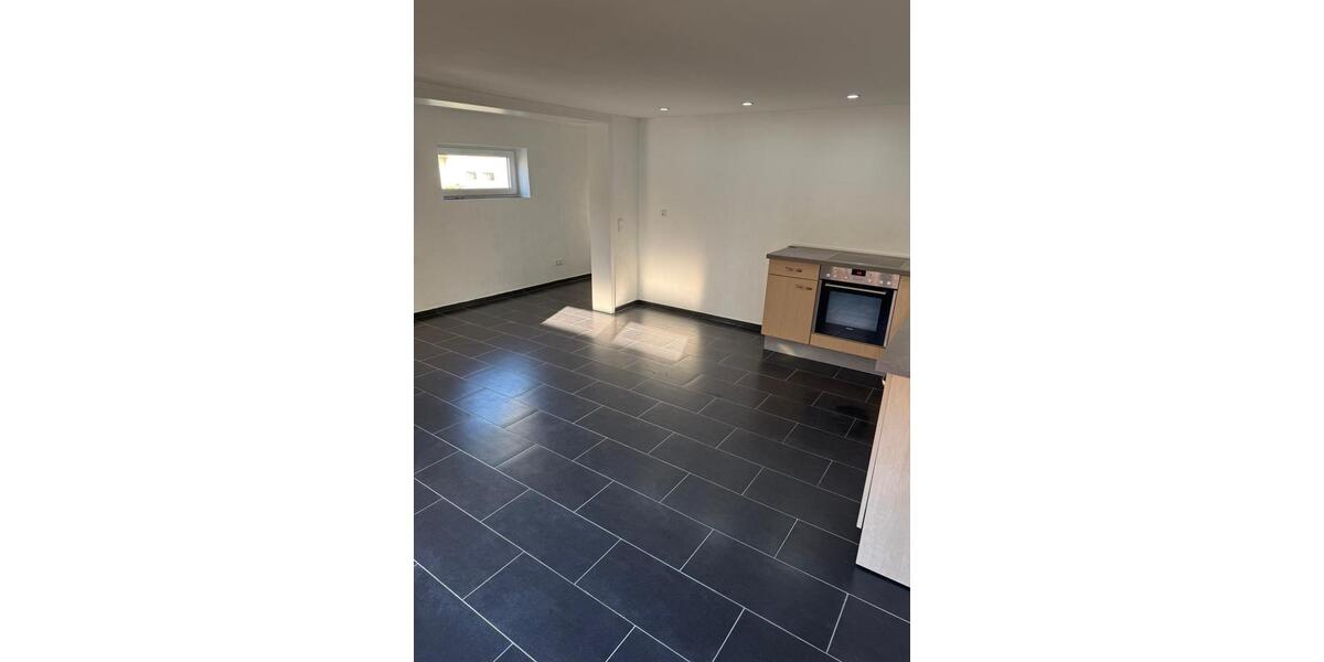 Etagenwohnung Hilgert - 1 Zimmer, 39 m&sup2;, 470&euro; | Angebot:26621563