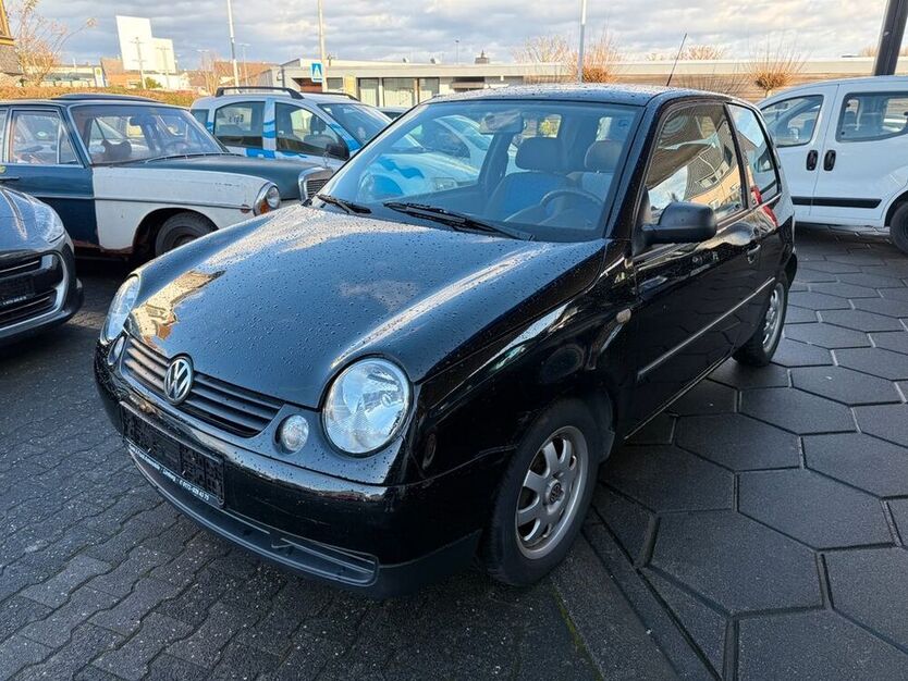 Lupo