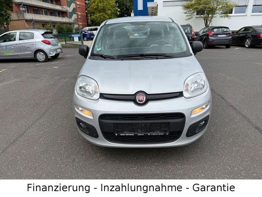 Panda