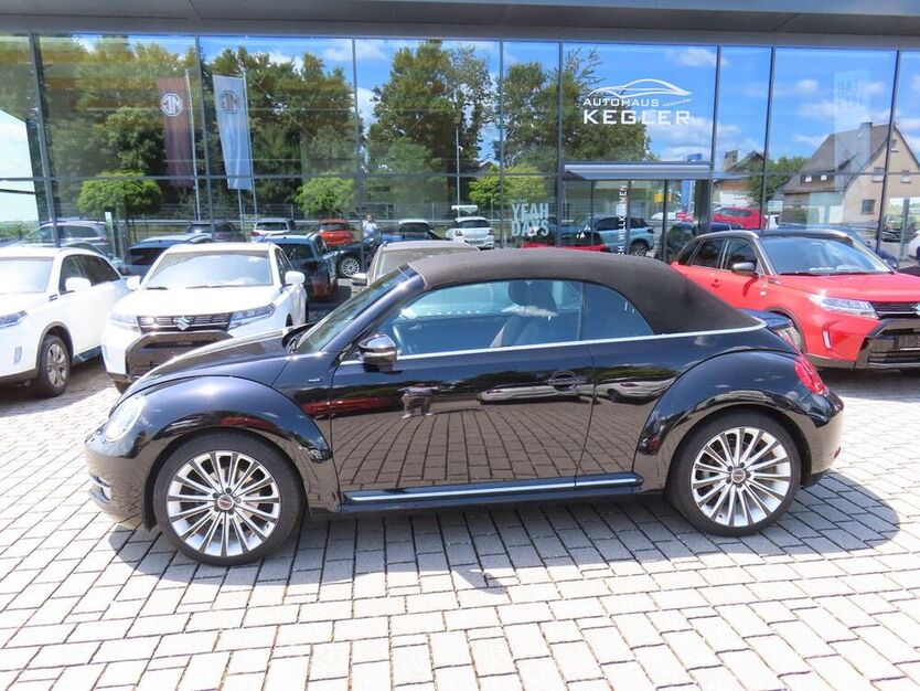 Beetle