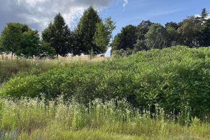 Grundstück zu verkaufen in Bassenheim 227.850 € 651 m² zimmer