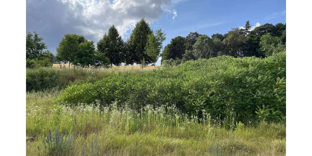 Grundstück zu verkaufen in Bassenheim 227.850 € 651 m² zimmer