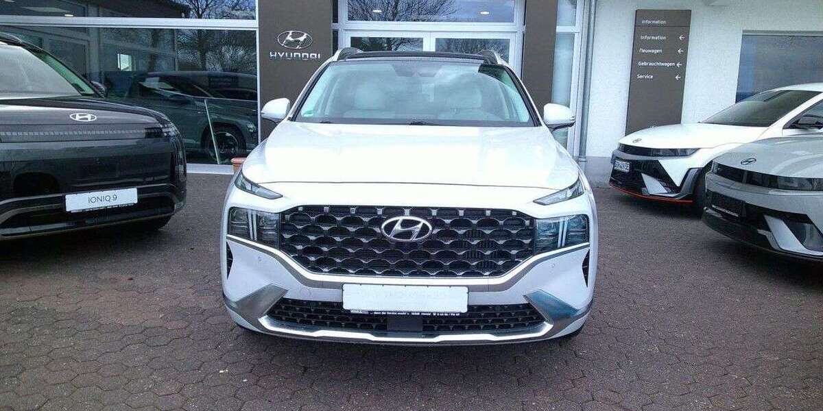 Hyundai SANTA FE 50.600 km 33.490 &euro; Herold 56368