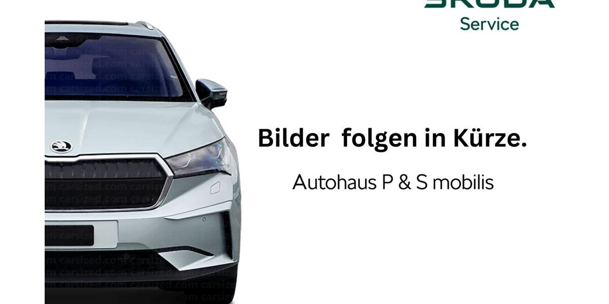 Skoda Kamiq 29.200 km 21.450 &euro; Neuhäusel 56335