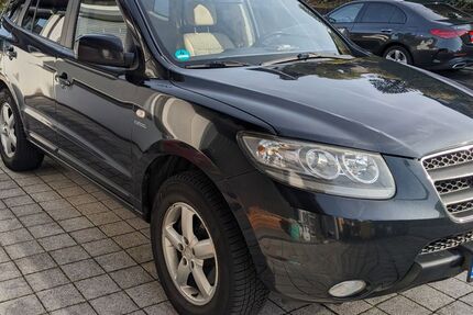 Hyundai SANTA FE 313.880 km 2.699 € Eitelborn 56337