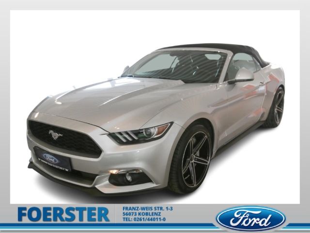 Mustang