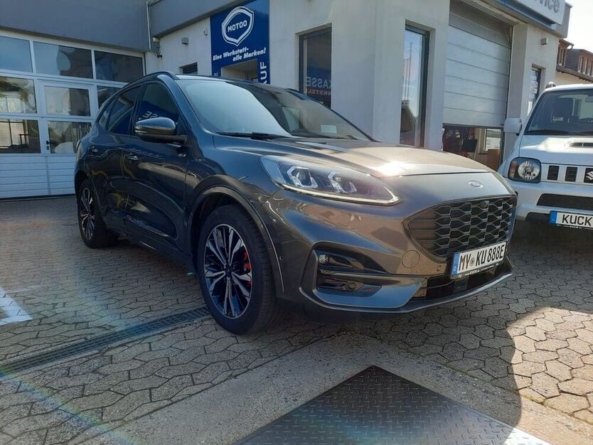Kuga