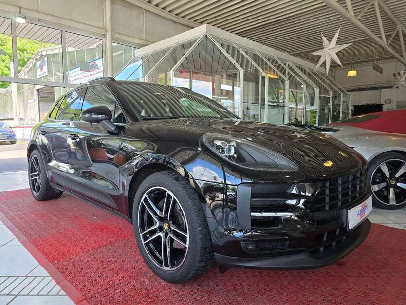 Macan