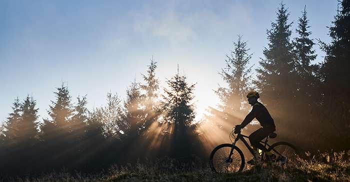 Gastronomie in Montabaur 1.800.000 € 6000 m² zimmer
