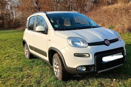 Fiat New Panda 48.100 km 8.999 &euro; Neuwied 56566