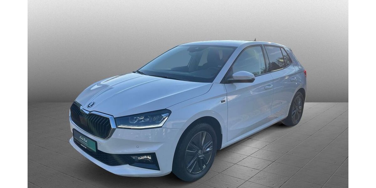 Skoda Fabia 15.000 km 19.980 &euro; Diez 65582