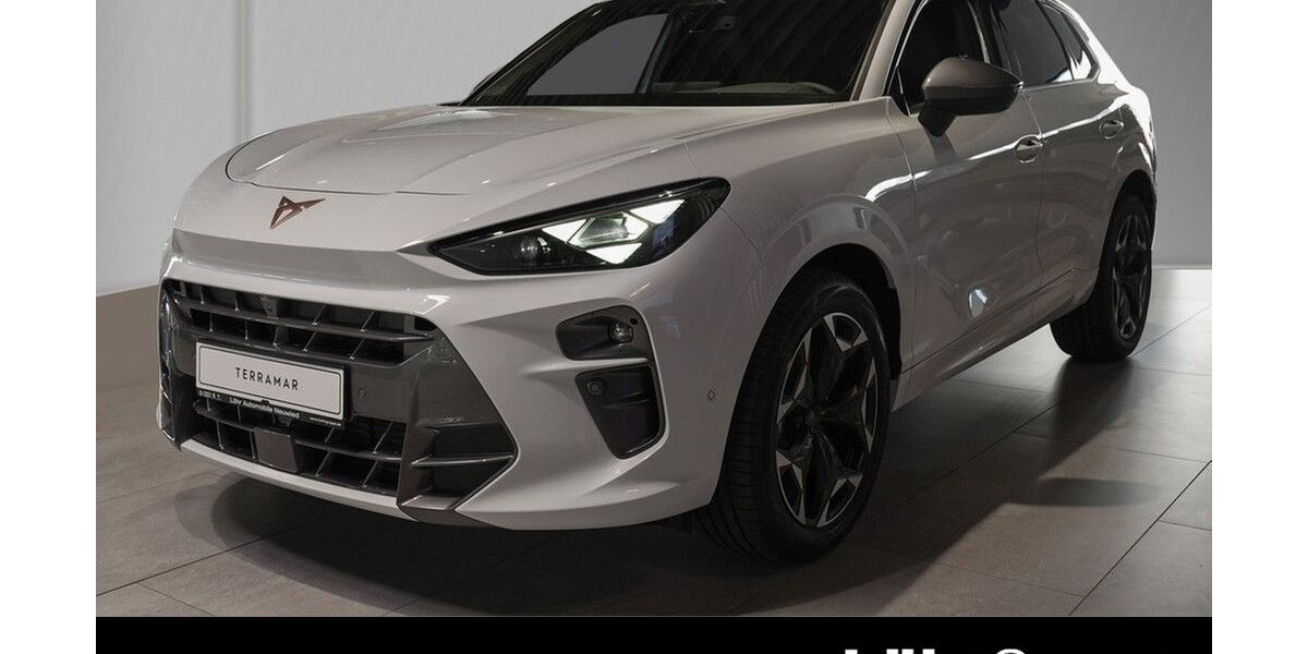 Cupra Terramar 1.500 km 44.920 &euro; Neuwied 56564