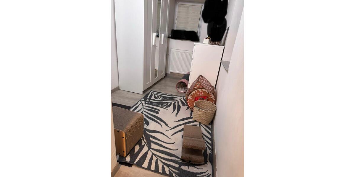 Etagenwohnung Plaidt - 2 Zimmer, 75 m&sup2;, 850&euro; | Angebot:25403511