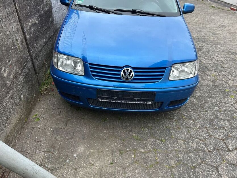 Polo