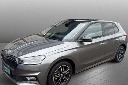 Skoda Fabia 20.445 km 24.890 € Diez 65582