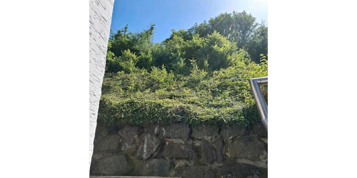 Erdgeschoßwohnung Bendorf - 3 Zimmer, 86 m&sup2;, 295.000&euro; | Angebot:26930850