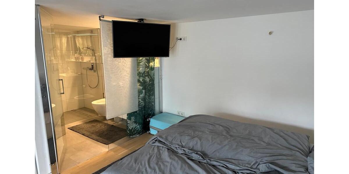 Koblenz Pfaffendorf Apartment vollmöbliert 1 zimmer