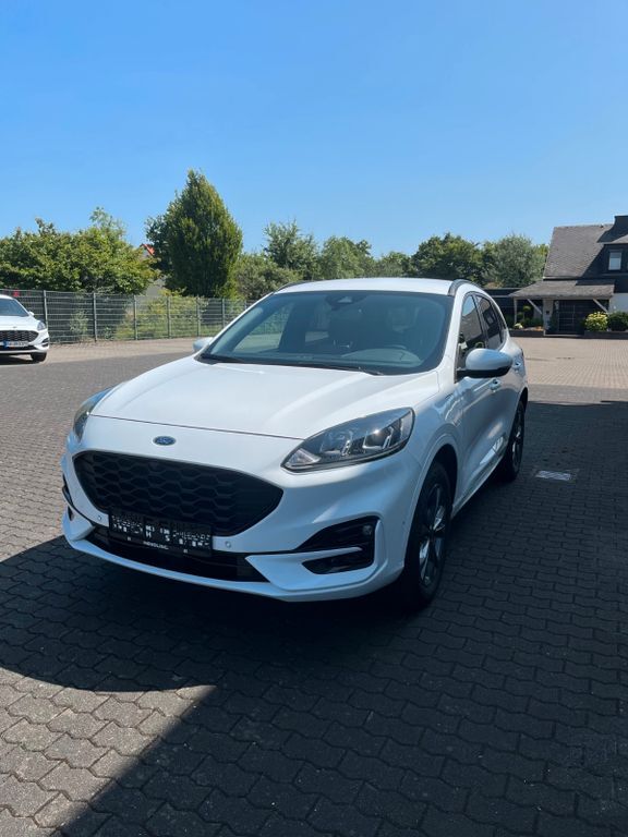 Kuga