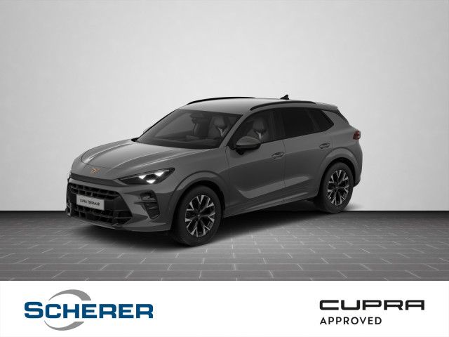 Cupra Terramar 1.973 km 37.980 &euro; Mayen 56727