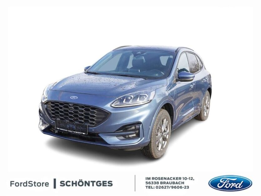 Kuga