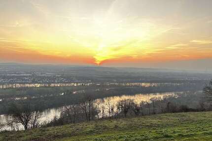 Wohnung zum Kaufen in Weitersburg 839.900 € 121 m² 4 zimmer