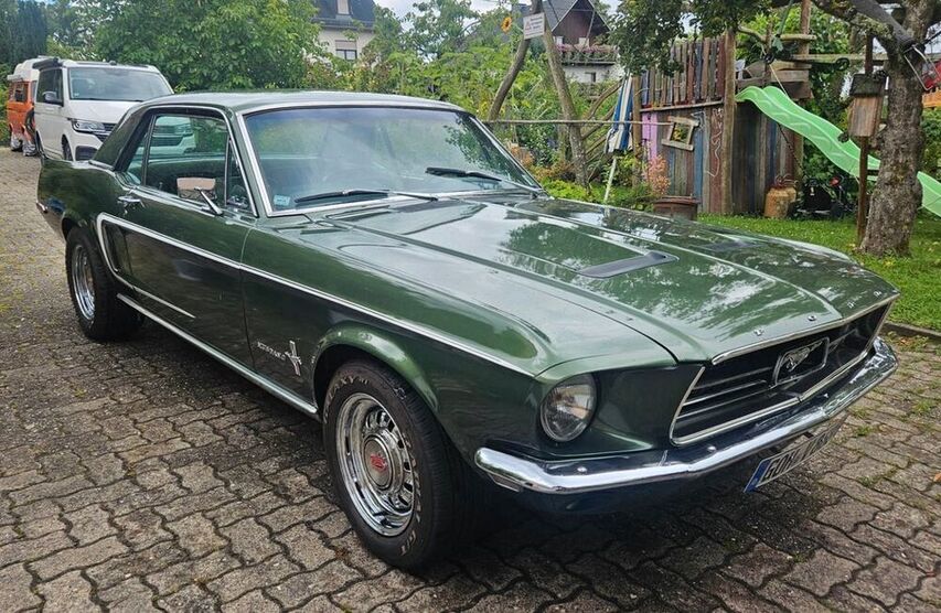 Mustang