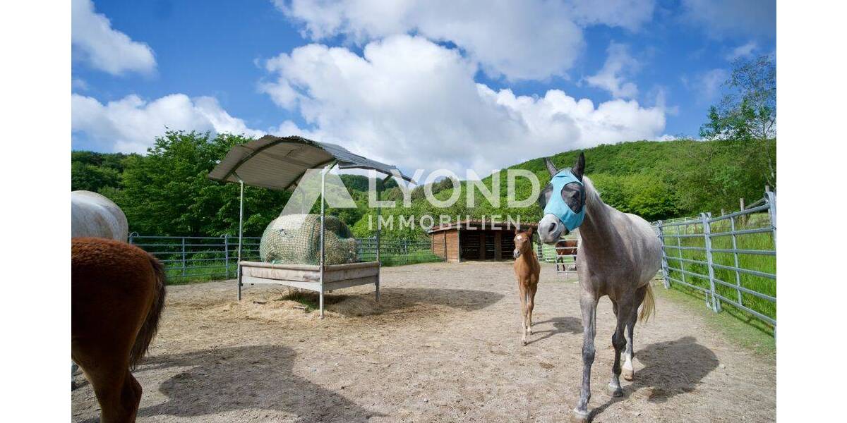 Mehrfamilienhaus, Wohnhaus Boppard Holzfeld - 1 Zimmer, 545 m&sup2;, 1.690.000&euro; | Angebot:26908302