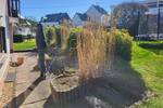 Mehrfamilienhaus, Wohnhaus Niederelbert - 1 Zimmer, 236 m&sup2;, 390.000&euro; | Angebot:26202046