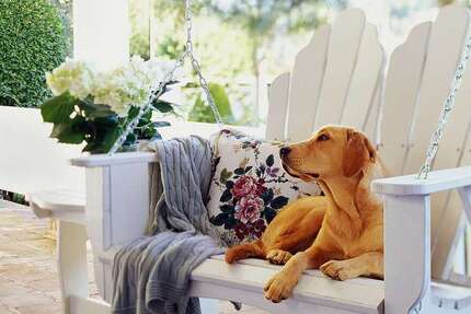 Grundstück zu verkaufen in Selters 84.800 € 530 m² zimmer