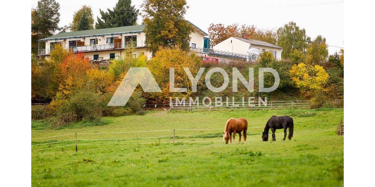 Mehrfamilienhaus, Wohnhaus Boppard Holzfeld - 1 Zimmer, 545 m&sup2;, 1.690.000&euro; | Angebot:26908302