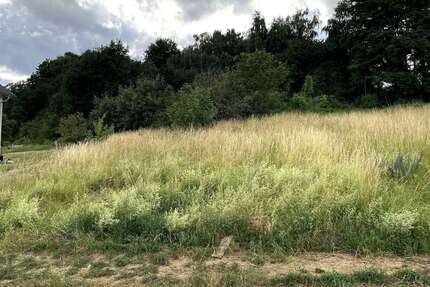 Grundstück Bassenheim - 327.600&euro; | Angebot:25483744