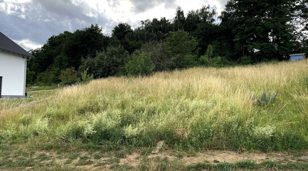 Grundstück Bassenheim - 327.600&euro; | Angebot:25483744