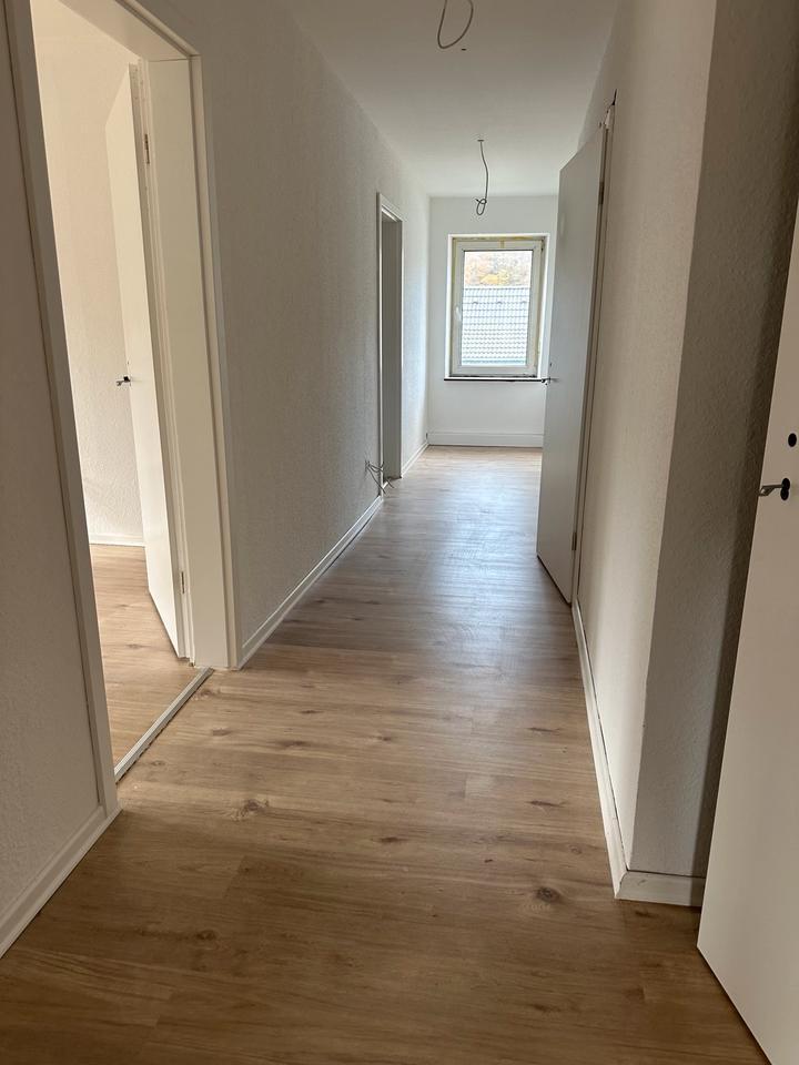 Wohnung zu vermieten zimmer