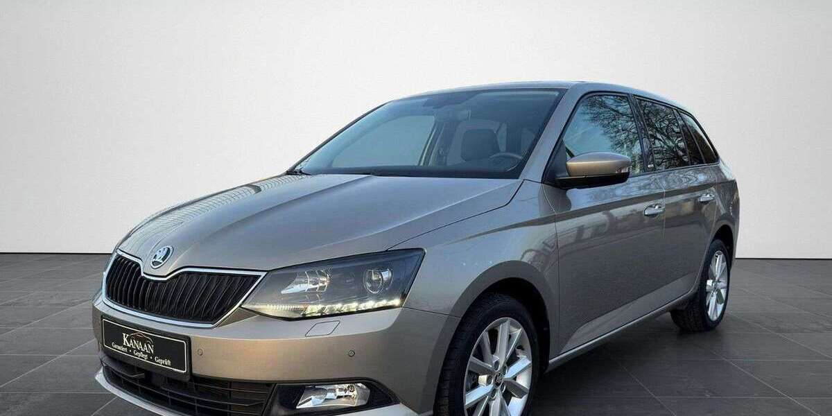 Skoda Fabia 33.000 km 13.999 &euro; Weißenthurm 56575