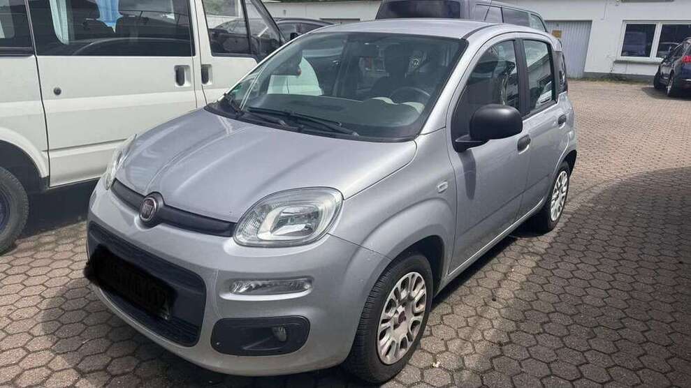 Panda