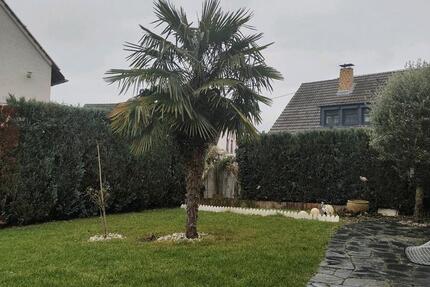 2Zimmer in Vallendar 2 zimmer