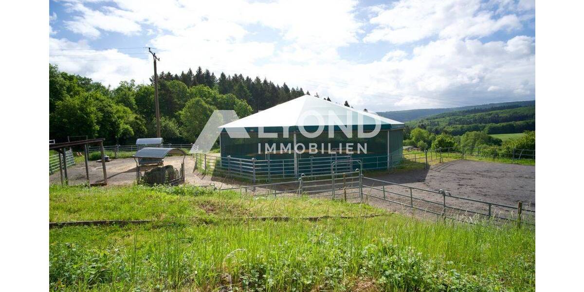 Mehrfamilienhaus, Wohnhaus Boppard Holzfeld - 1 Zimmer, 545 m&sup2;, 1.690.000&euro; | Angebot:26908302