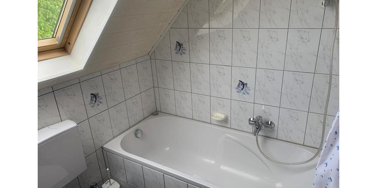 Dachgeschoßwohnung Koblenz Karthause - 1 Zimmer, 45 m&sup2;, 800&euro; | Angebot:25424389