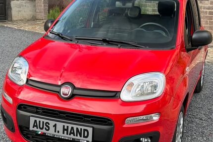 Fiat Panda 3.800 km 12.650 &euro; Brohl Lützing 56656