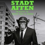 Stadtaffen -Eine explosive Hommage an Peter Fox und SEEED