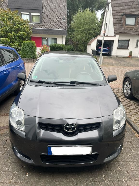 Auris