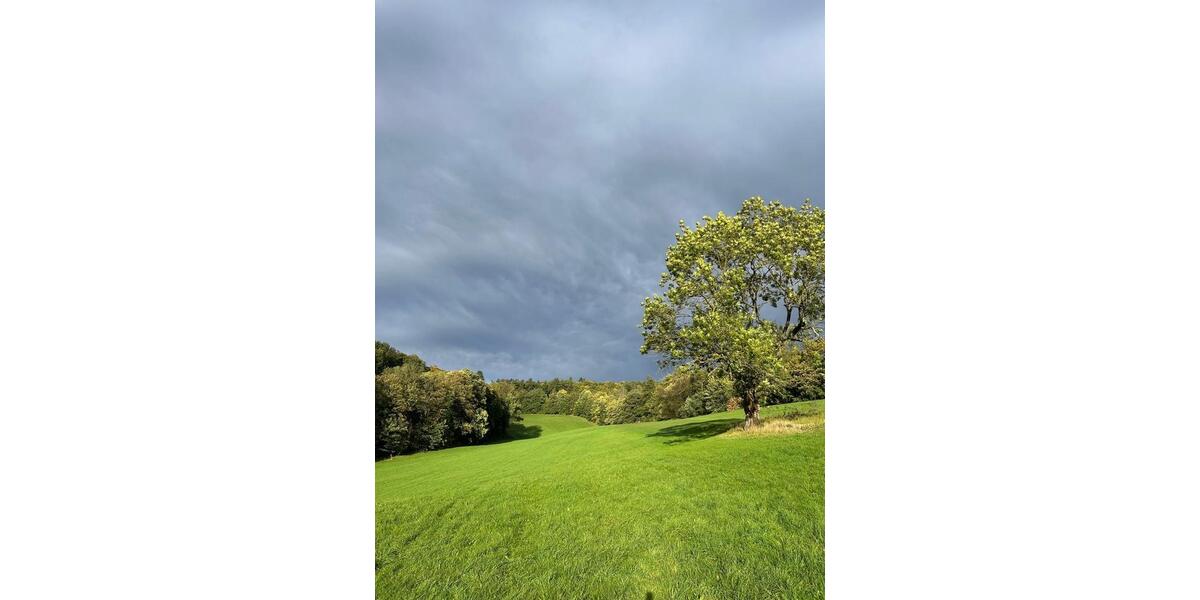 Großzügige kernsanierte 4-Zimmerwhg. bei Koblenz zimmer