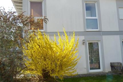 Haus Gückingen - 5 Zimmer, 150 m&sup2;, 449.000&euro; | Angebot:26991003