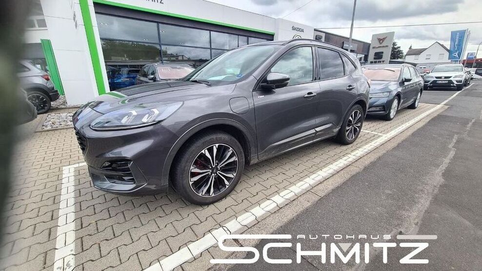 Kuga