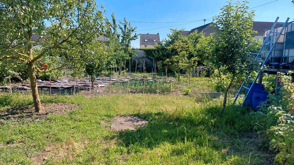 Mehrfamilienhaus, Wohnhaus Kruft - 11 Zimmer, 400 m&sup2;, 349.000&euro; | Angebot:27262189