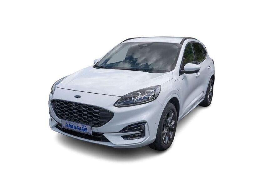Kuga