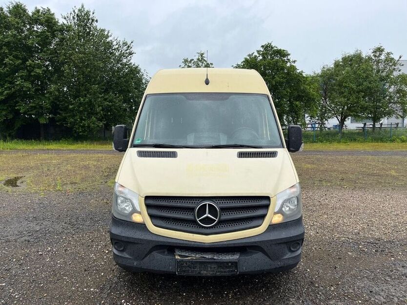 Sprinter